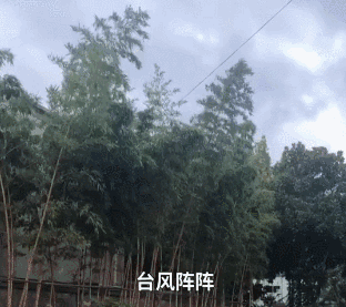 亿力洗车机使用环境 亿力洗车机使用环境